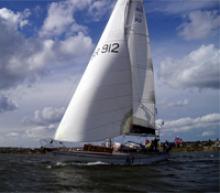 albatros