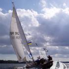 albatros