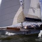 albatros