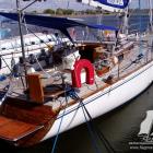 albatros