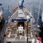 albatros