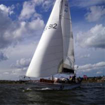 albatros